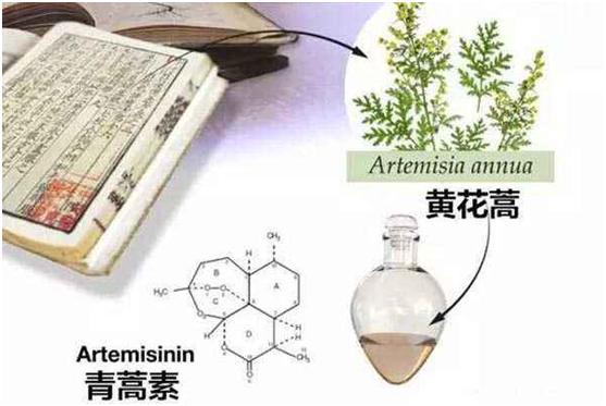 雷速体育（中国）官方网站,：向中医药看齐，与世界共享中医药文化(图1)